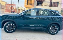 جيتور داشينج